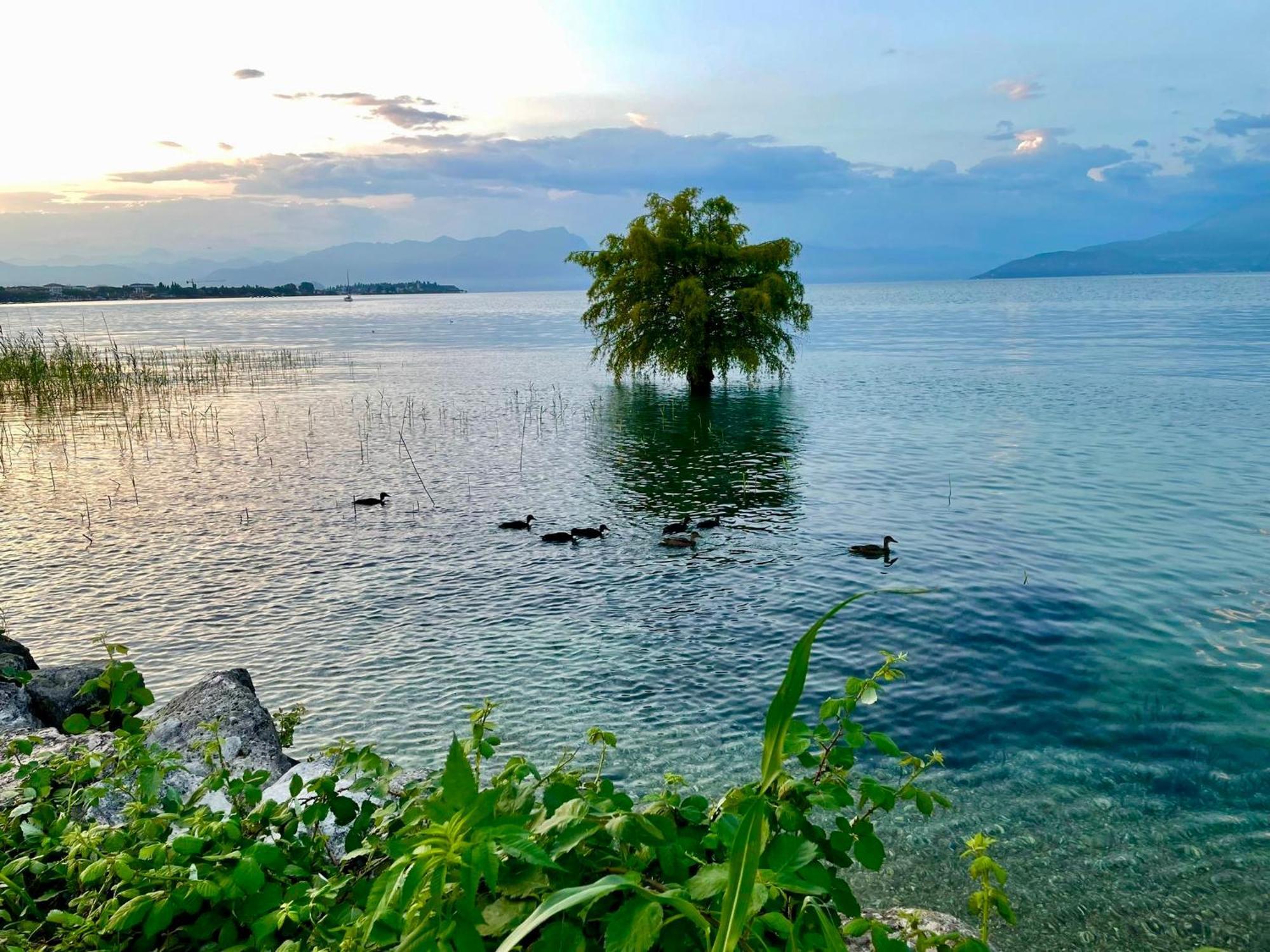 Hotel Alfieri Sirmione Esterno foto